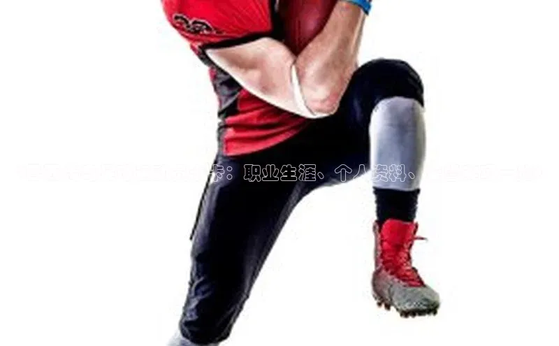 球速体育网页版登录入口歌力思《巴西传奇足球运动员卡卡：职业生涯、个人资料、荣誉奖项一览》