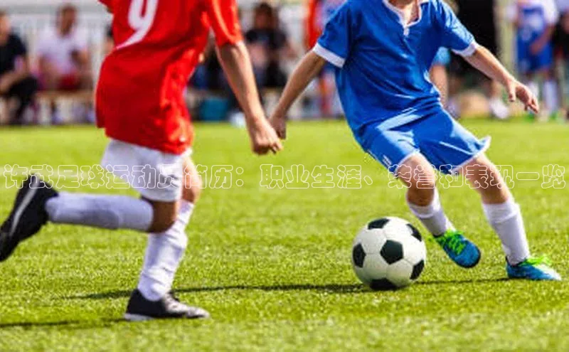 球速体育app下载爱慕股份许武足球运动员简历：职业生涯、荣誉和表现一览