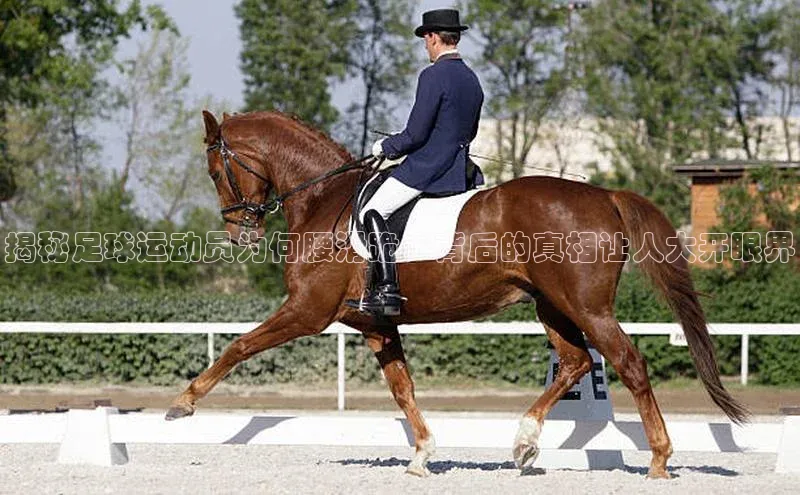 球速体育官网宇信科技揭秘足球运动员为何腰滑跪，背后的真相让人大开眼界