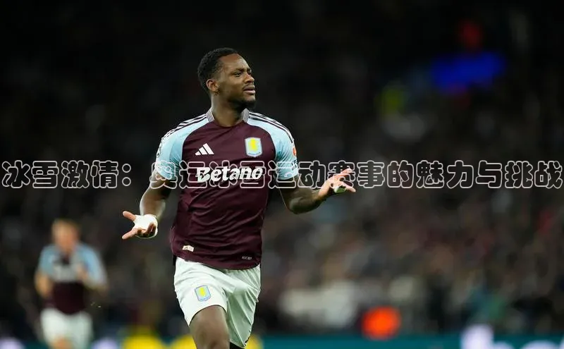 冰雪激情：奥运冰雪运动赛事的魅力与挑战