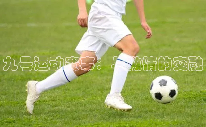 九号运动赛事：与激情的交融