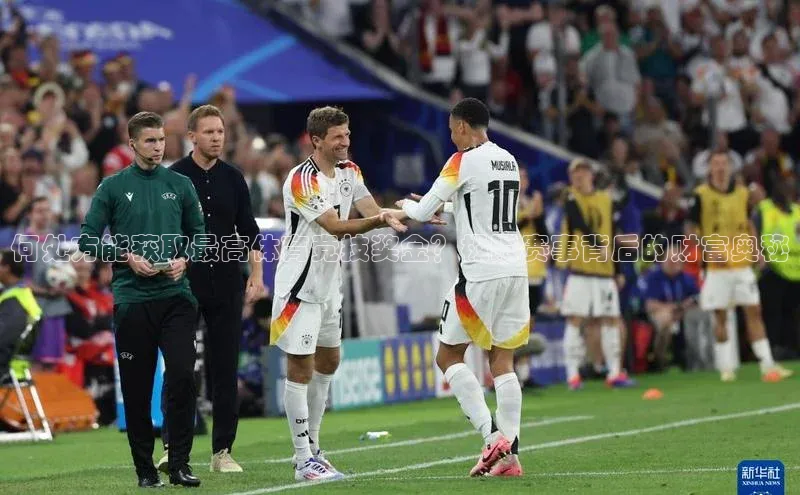 何处方能获取最高体育竞技奖金？极限赛事背后的财富奥秘