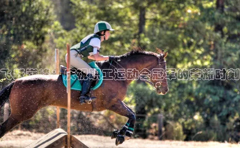 飞跃巅峰：庆祝职工运动会冠军的荣耀时刻