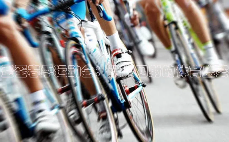 蛋蛋春季运动会：活力四射的体育盛宴