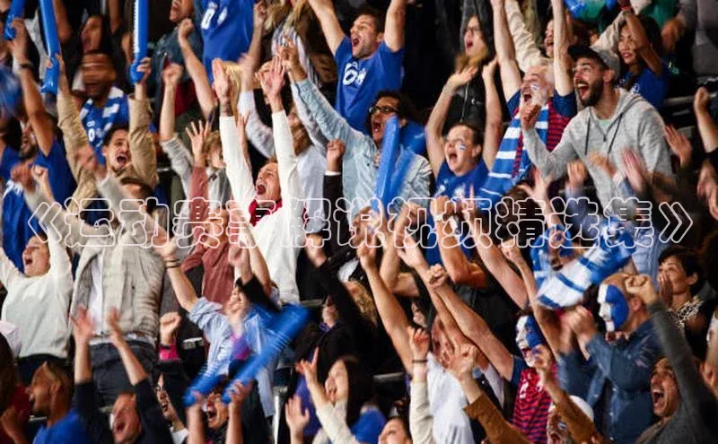 《运动赛事解说视频精选集》