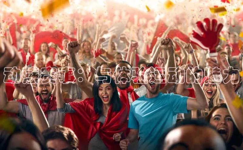 动感赛事：与体验运动的魅力