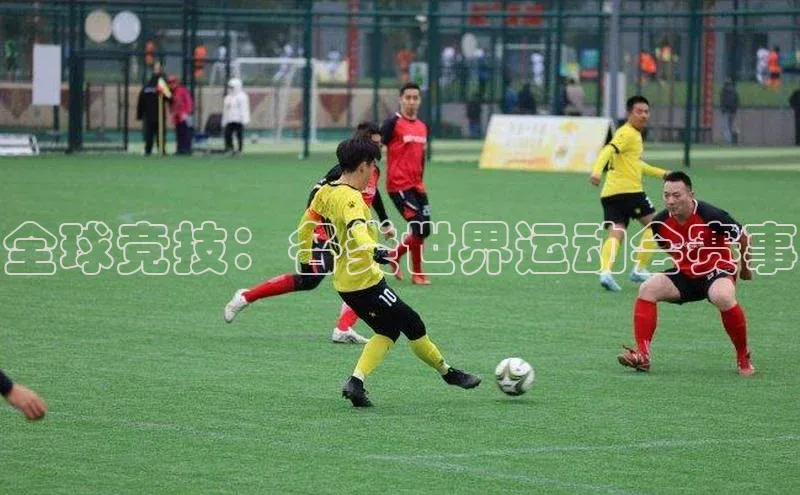 全球竞技：各类世界运动会赛事