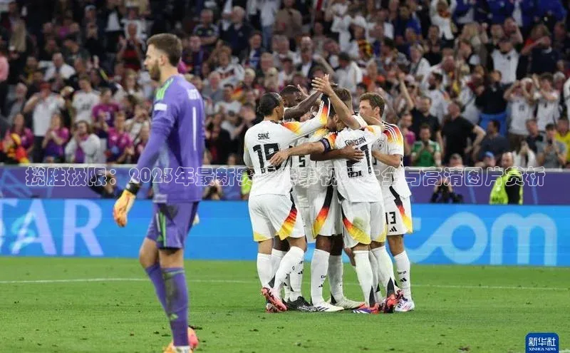 揽胜极限：2023年最新赛车赛事视频大全与高清图片赏析