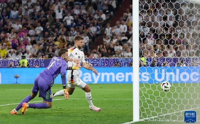 速球体育官方入口地址