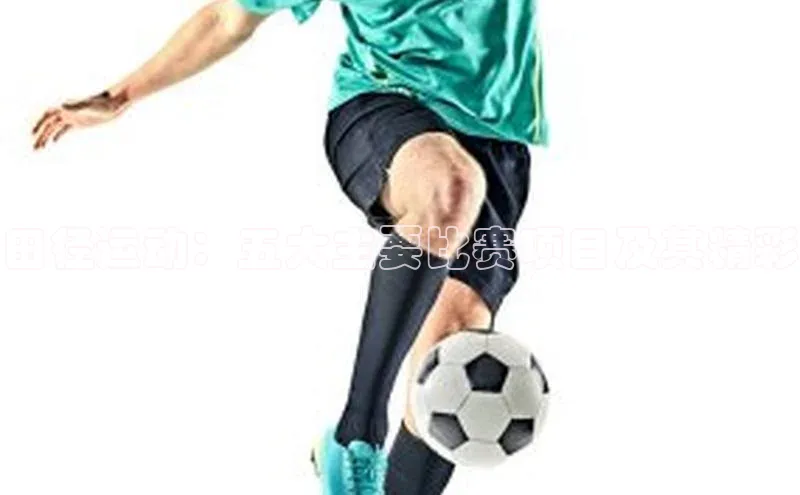 球速app官网登录入口