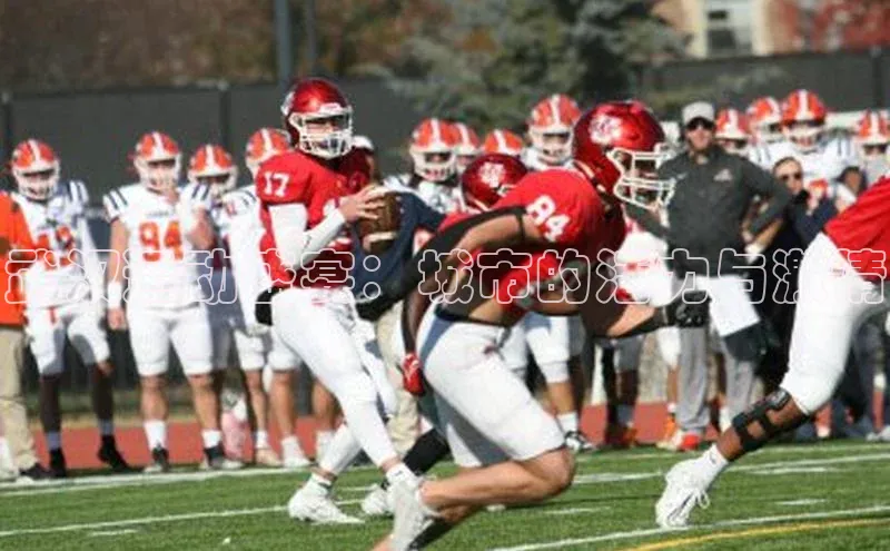 速球app下载入口