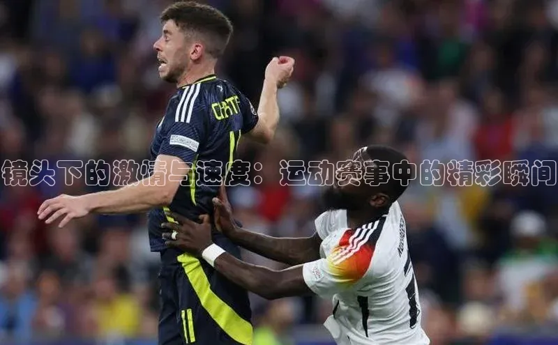 球速体育app官网入口