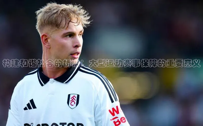 构建和谐社会的桥梁：大型运动赛事保障的重要意义
