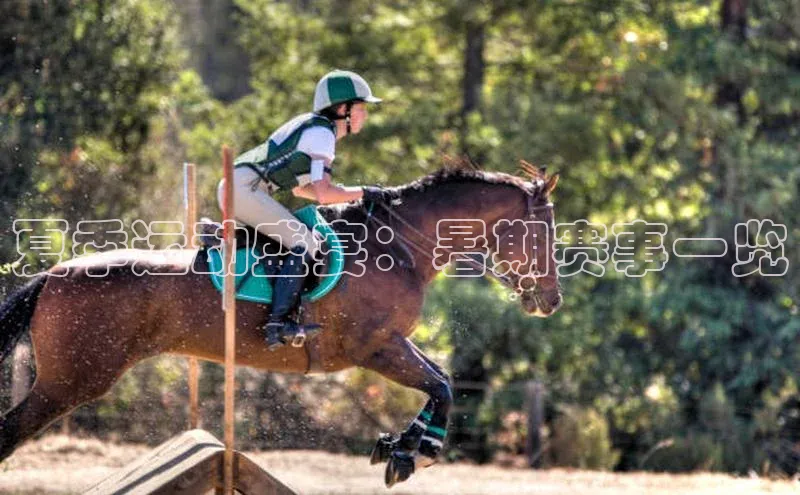 夏季运动盛宴：暑期赛事一览