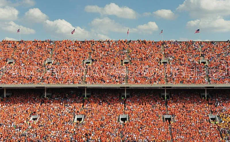 多维度：全球热门体育赛事的多样性与影响力