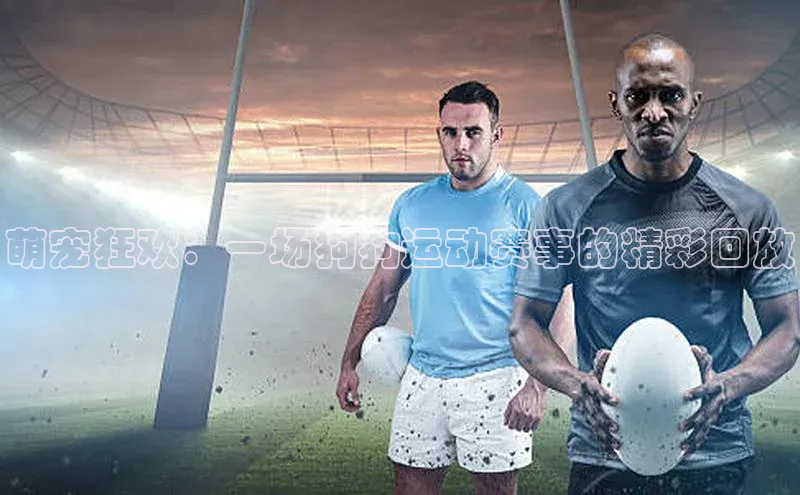 球速app官网登录入口